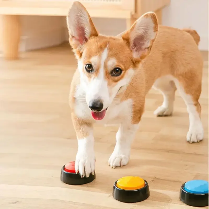 2026 Recordable Talking Pet Bu - Event Party Box ulasan dan harga