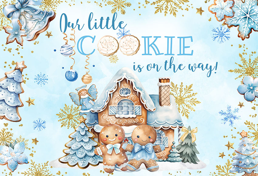 Christmas Gingerbread Baby Sho - Dessert Table Backdrop ulasan dan harga